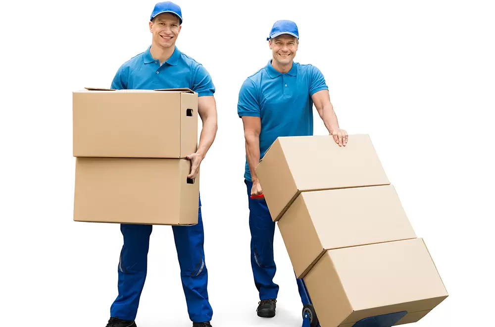 Globale Lösungen für den internationalen Container-Tür-zu-Tür-Versand